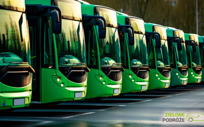 Czy lokalne samorządy stać na niskoemisyjny transport?